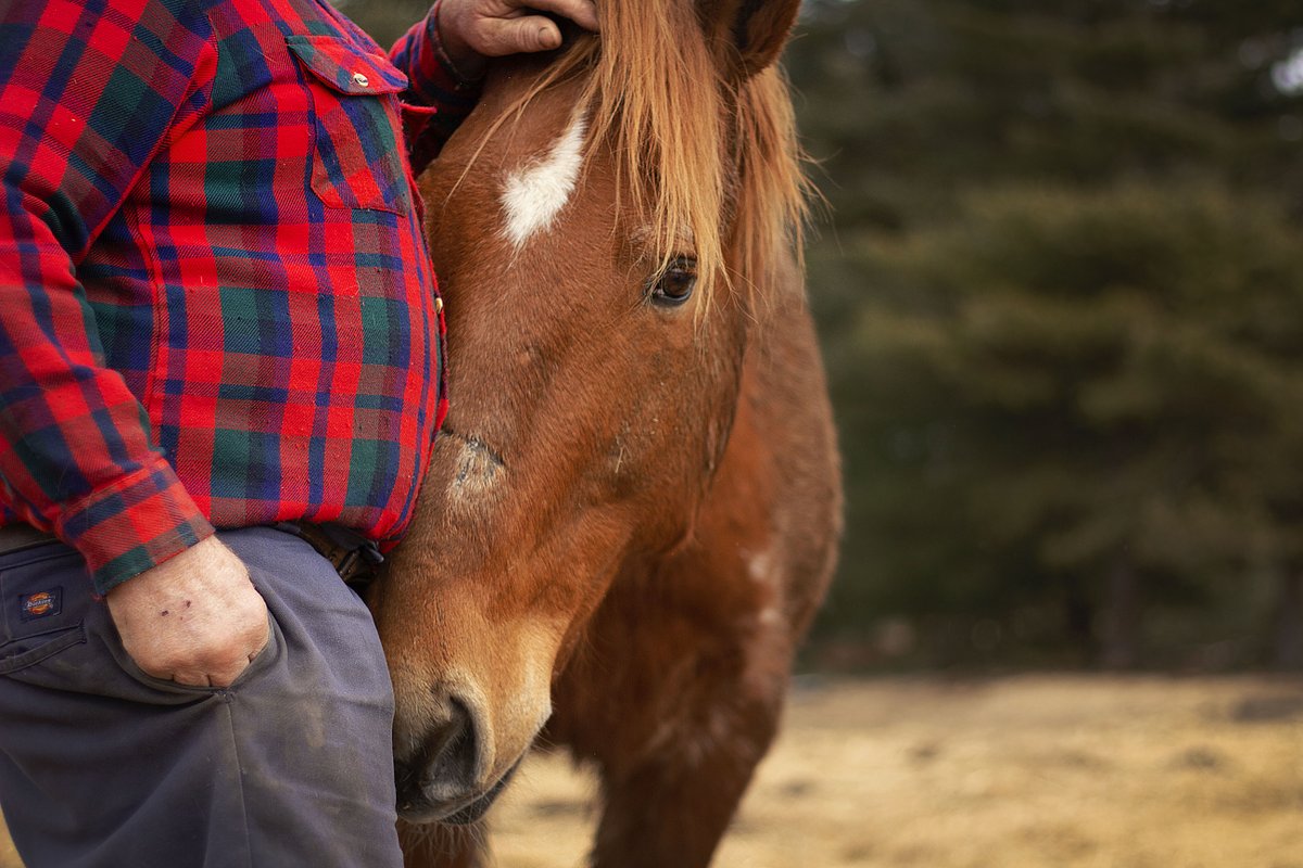 FCEast's tweet photo. Loyal companions can be hard to come by! Rachel Foth of Gardiner, Maine, took this sweet photo, featured in our 2024 Agricultural Views calendar. #AgriculturalViews #AgViews #MadeInAgriculture https://t.co/w4zsEmdzk9