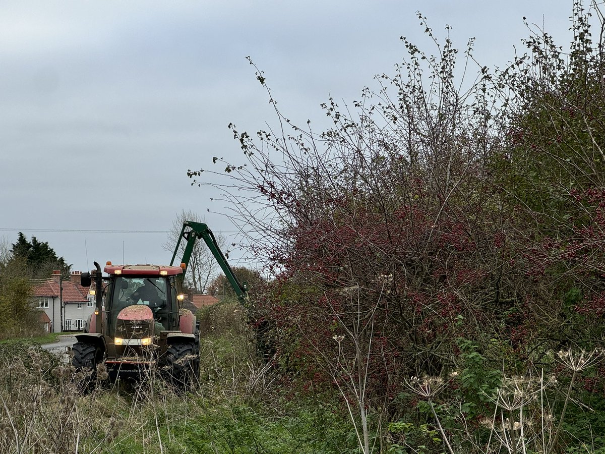 Harry Read tweet media