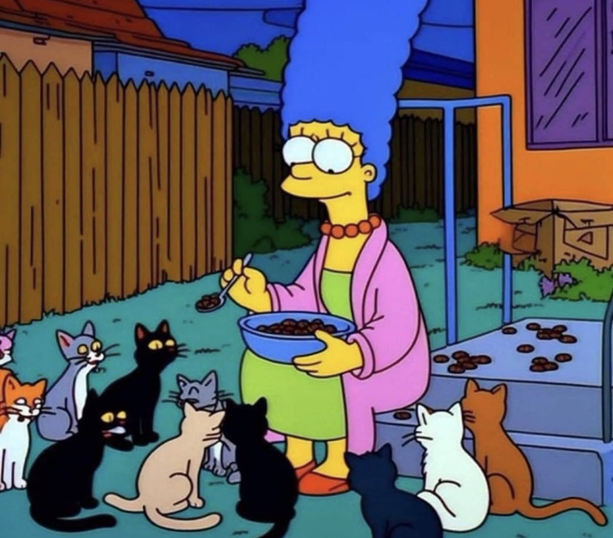 Come ti vedi nel futuro?
Io: