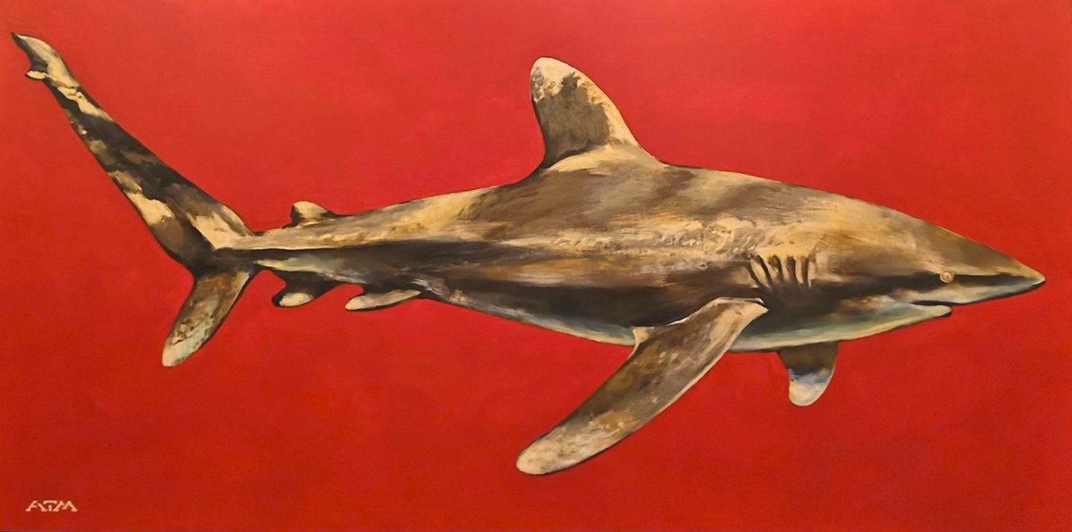 ATM streetart (@atmstreetart) on Twitter photo The Shark Trust <a href="/SharkTrustUK/">The Shark Trust</a> auction of artworks to support shark protection is now open. Bid here superstars-auctions.com/sharktrustauct… My Oceanic Whitetip is lot No. 4 #shark #sharks #sharktrust #artauction The Shark Trust <a href="/SharkTrustUK/">The Shark Trust</a> auction of artworks to support shark protection is now open. Bid here superstars-auctions.com/sharktrustauct… My Oceanic Whitetip is lot No. 4 #shark #sharks #sharktrust #artauction