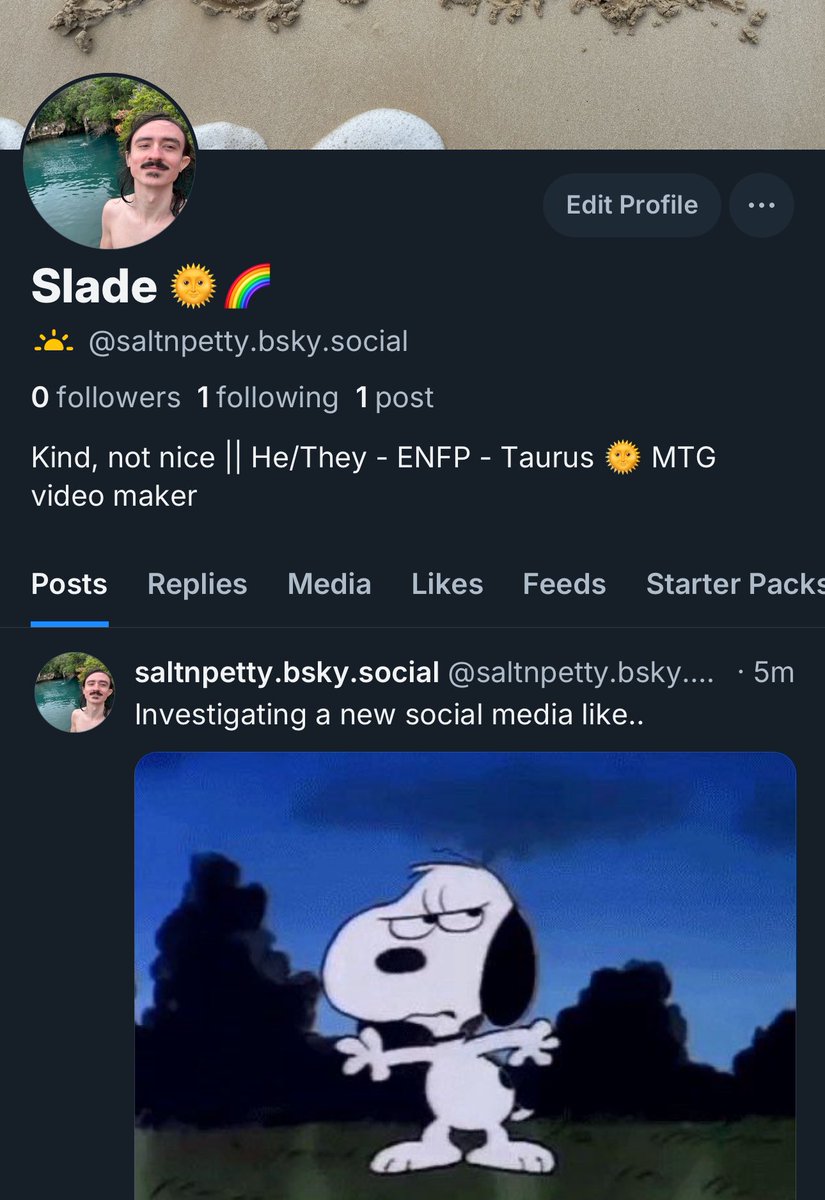Slade 🥥 🌴 🌈 tweet media