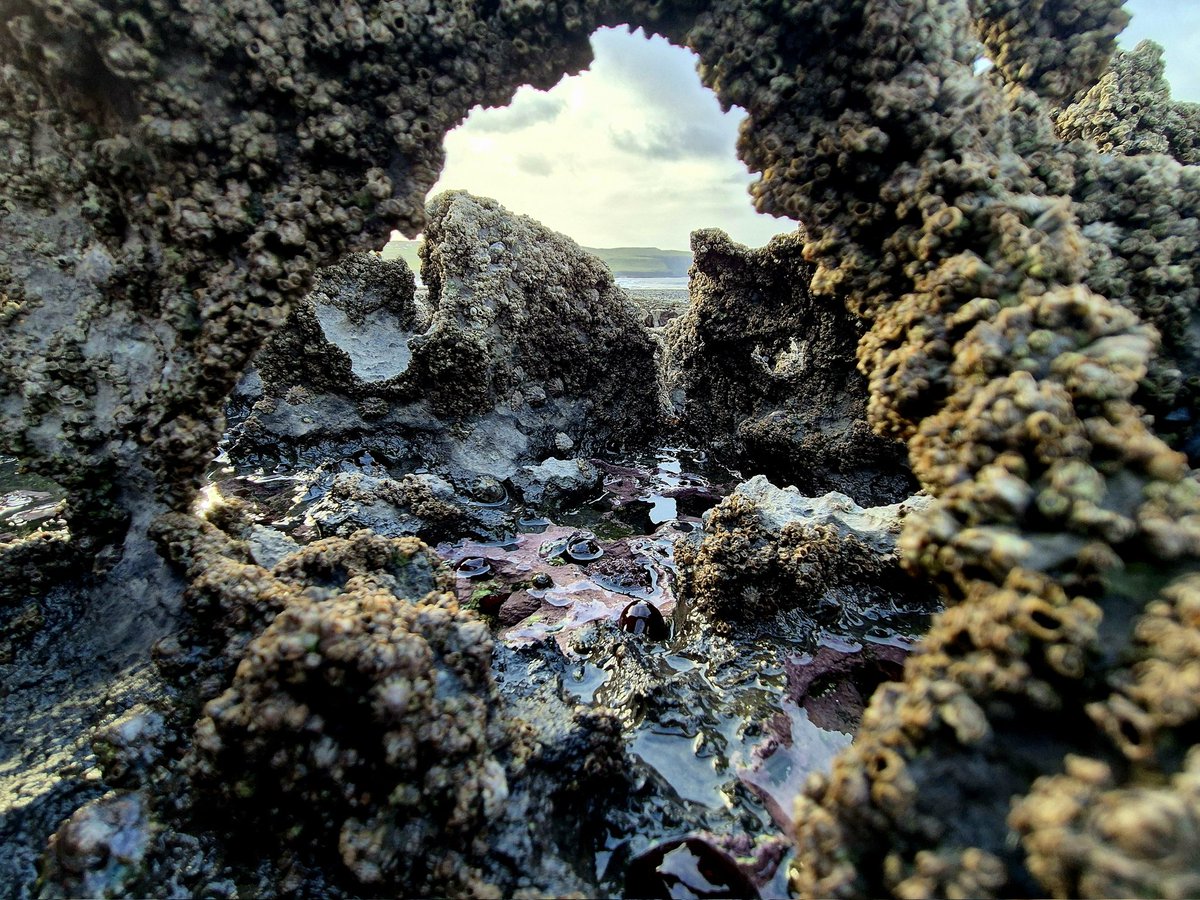 A Barnacle encrusted Biokarst arch.
Looking South towards the Cliffs of Moher from the Burren shoreline.
County Clare, Ireland.