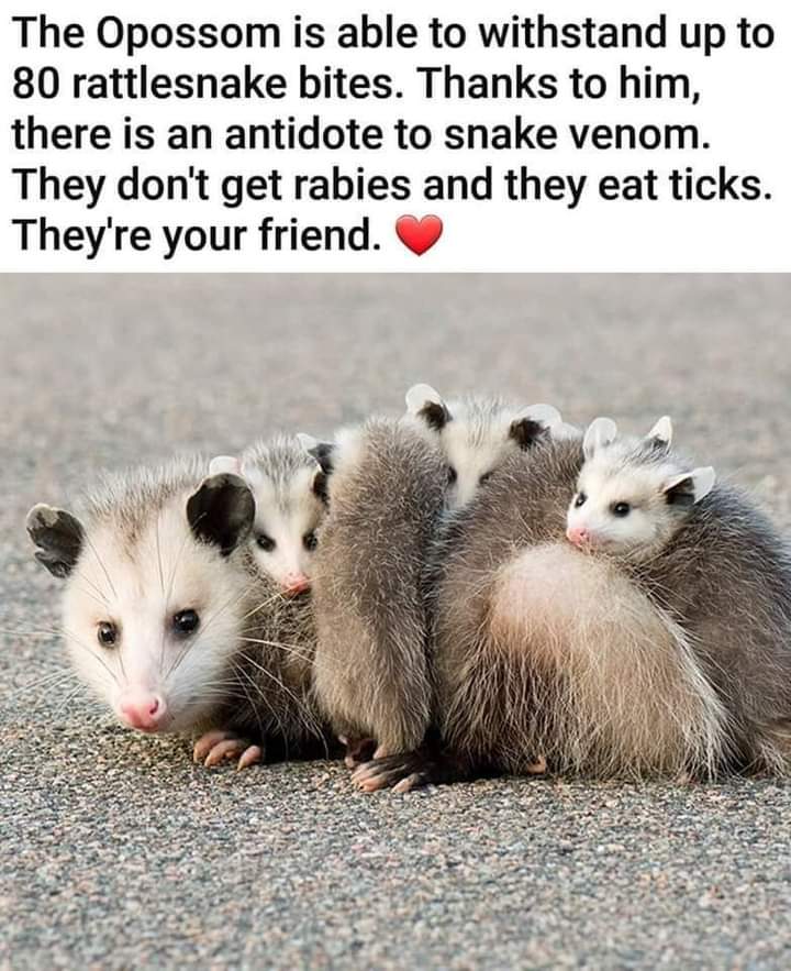 This is a @kilnfiendpotter appreciation post