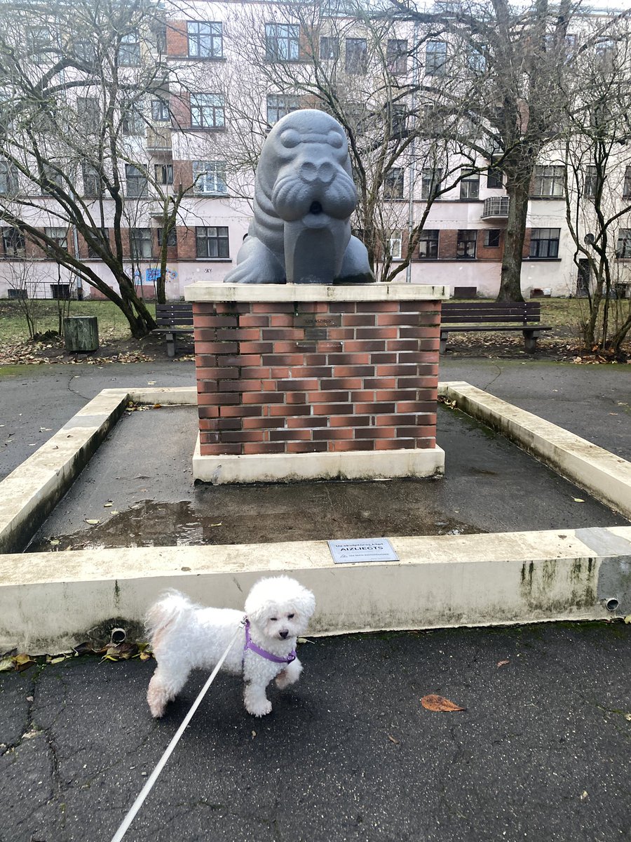 Valzirgs svētkos arī apsveikts🇱🇻