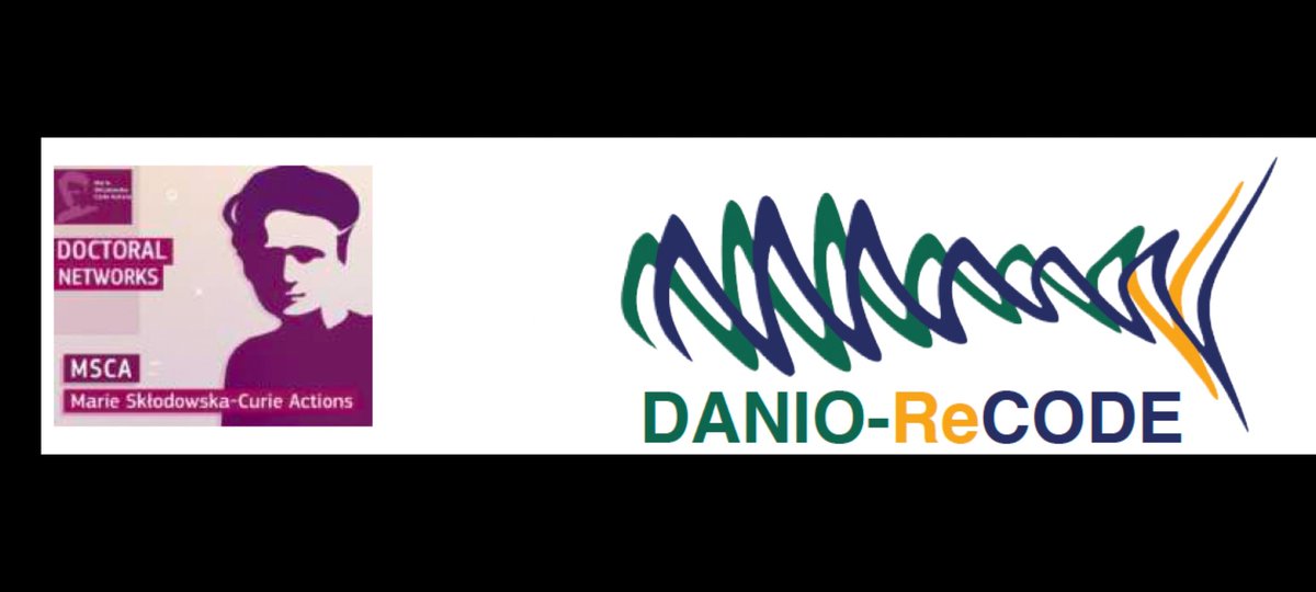 ferencmueller (@ferencmueller) on Twitter photo PhD position(s) in  #development #genomics:   tinyurl.com/9dk9m29d
 European (#MSCA) doctoral training network,  #DanioreCODE (tinyurl.com/2rz4mdsa). 
How does  #transcription initiation regulation control #brain injury response and  #regeneration in #zebrafish? PhD position(s) in  #development #genomics:   tinyurl.com/9dk9m29d
 European (#MSCA) doctoral training network,  #DanioreCODE (tinyurl.com/2rz4mdsa). 
How does  #transcription initiation regulation control #brain injury response and  #regeneration in #zebrafish?