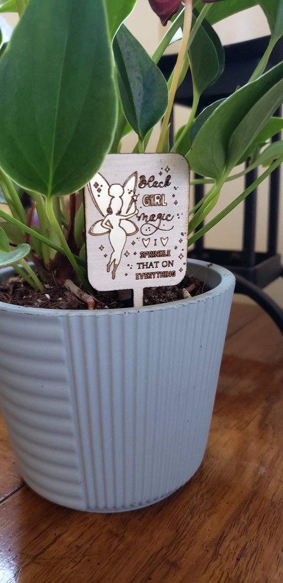 sdbraz's tweet photo. Unique Plant Stakes https://t.co/QgQQYV3Vxn