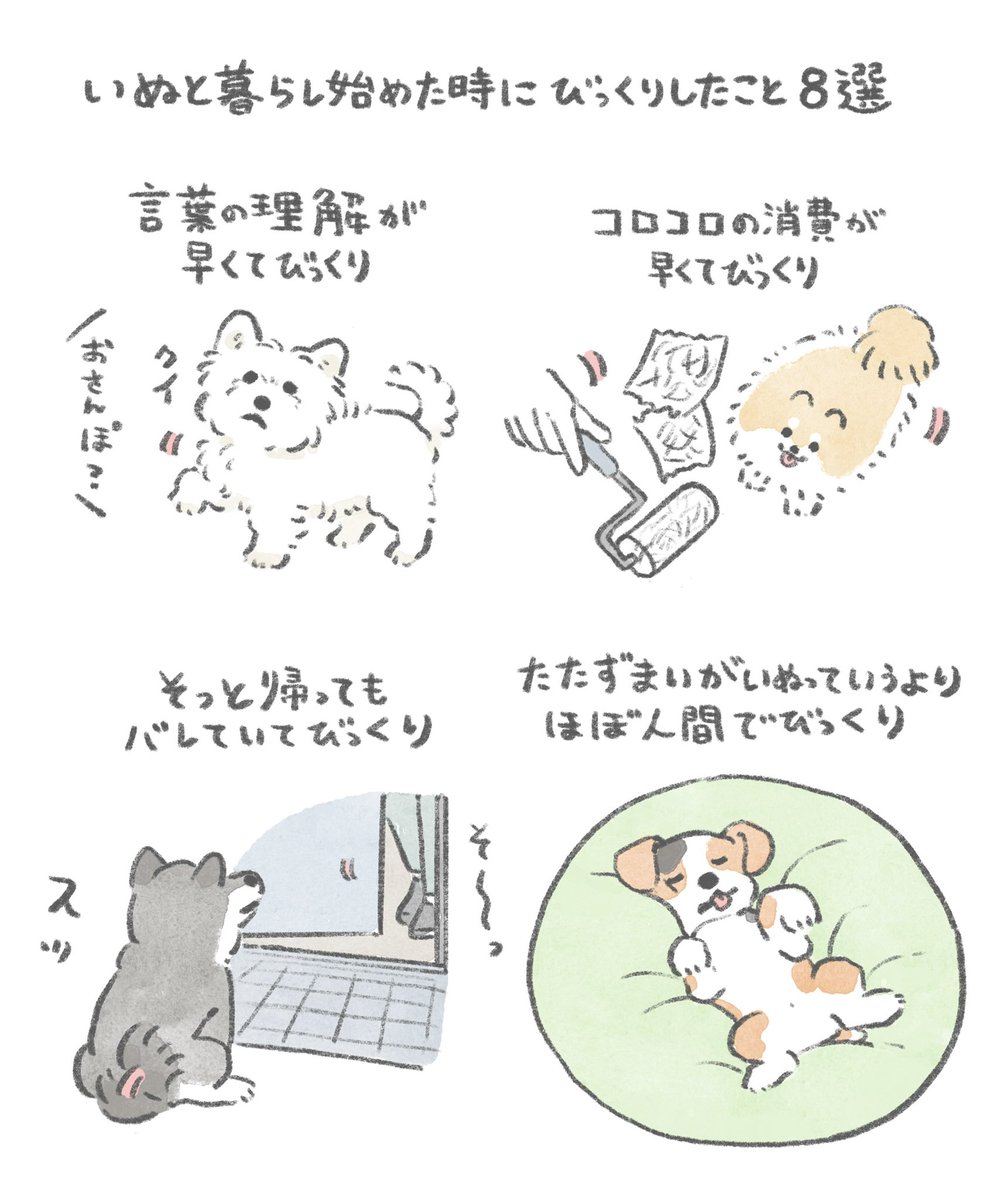 いぬと暮らし始めた時にびっくりしたこと 