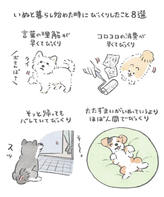 いぬと暮らし始めた時にびっくりしたこと 