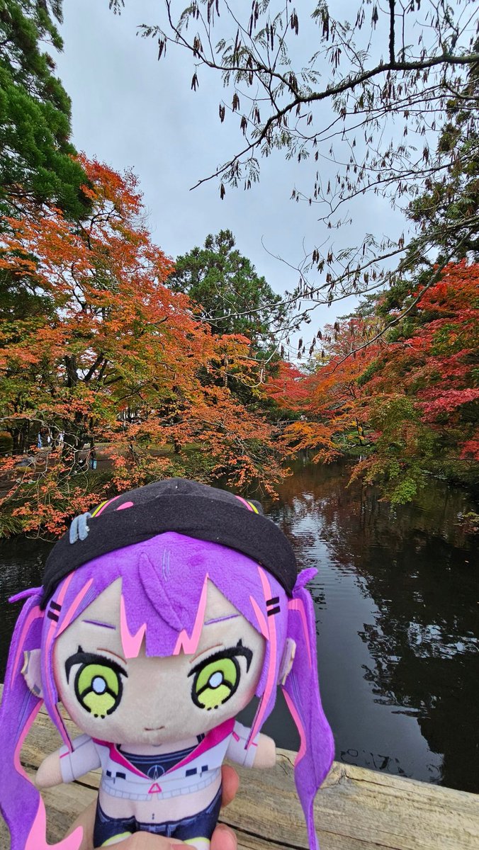 Windelse13's tweet image. 啊啊啊啊啊！巡迴的部分竟然忘記帶去拍照，大失敗 掩面