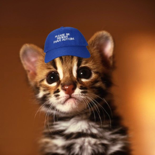 PLEASE BE
PATIENT
I HAVE AUTISM

$zeus