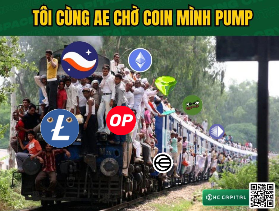 Minhtuan | AlphaBack.net 🇻🇳 tweet media