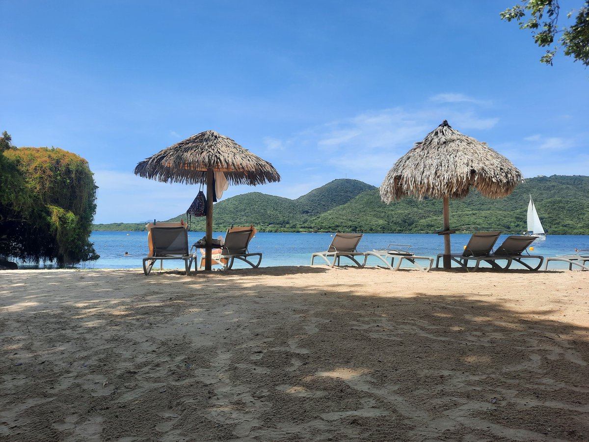 Back to work after a week-long offsite in Martinique 🏝️ with my colleagues from <a href="/huggingface/">Hugging Face</a>  🤗 ! 

I had time to relax, reflect, have fun and meet people who aren't just amazing at their work but also truly kind 💖 

Can't wait for the next one!