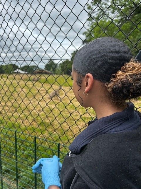 Our 2025 Year 10 work experience programme is now open for applications! 🙌 

➡️ Apply here under 'Current Vacancies': bristolzoo.org.uk/careers

⏲️ Closing date for applications is Sunday 1 December.

#WorkExperience #ZooJobs #AnimalJobs #BristolZoo
