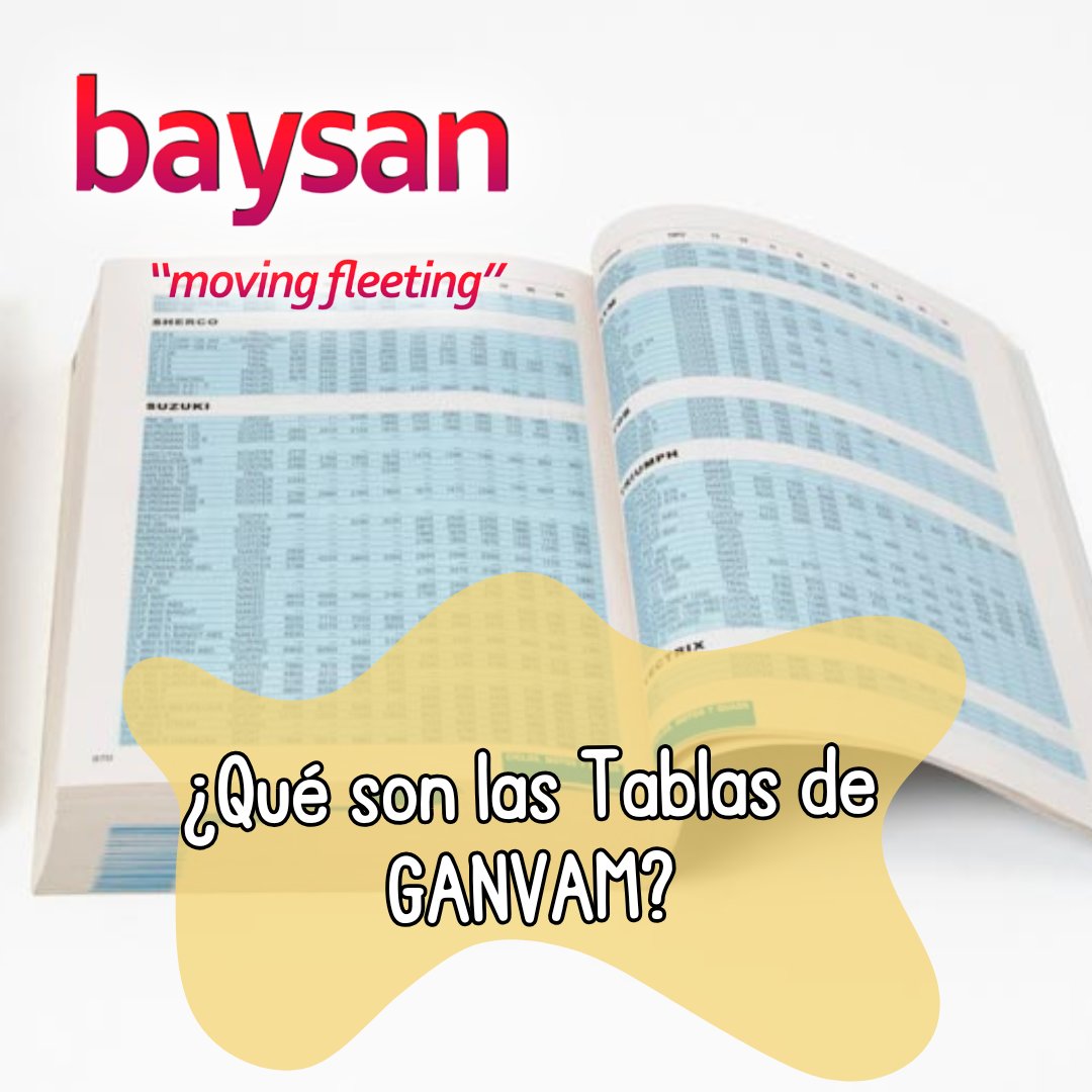 Grupo Baysan tweet media