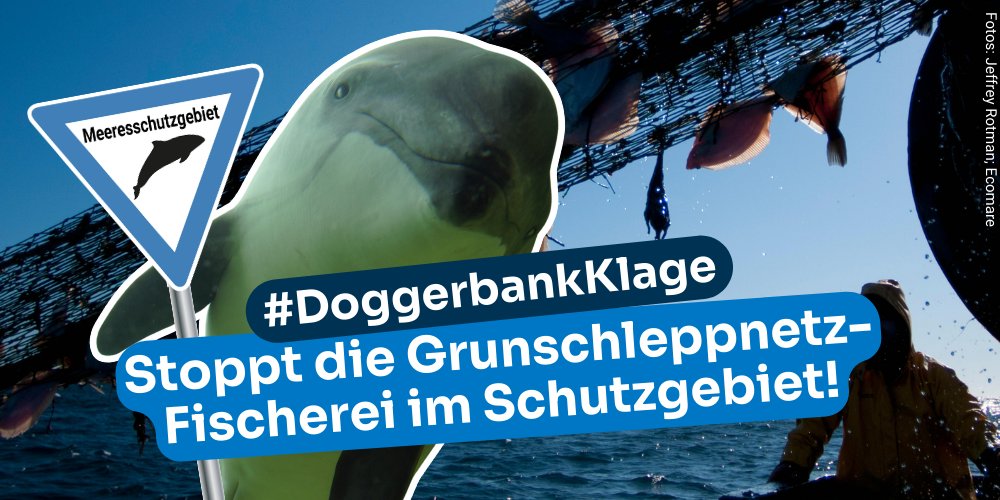 Mit der Erlaubnis f. #GrundschleppnetzFischerei im Meeresschutzgebiet #Doggerbank verstößt d. Bundesregierung gg. das 🇪🇺-Naturschutzrecht. ❌ Da sich die Meerestiere nicht gg. die Zerstörung ihres Zuhauses wehren können, tun wir es u. ziehen vor Gericht! ⚖️🌊 #DoggerbankKlage 1/4