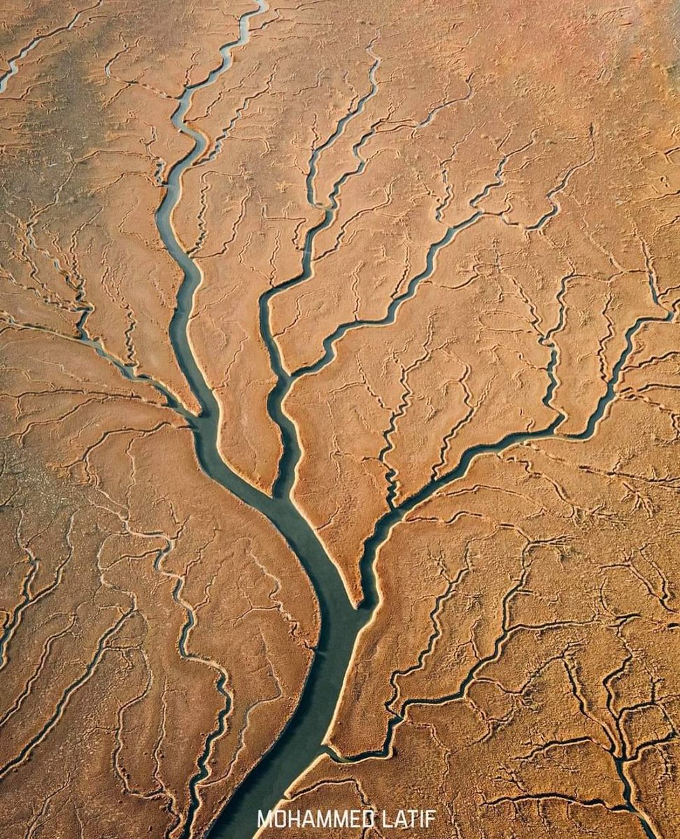 Water channels extending from the Arabian Gulf in #Basra to Khor al Zubair resemble tree branches delicately etched into the earth.#Iraq. 
📷 #الجزيرةالوثائقية.