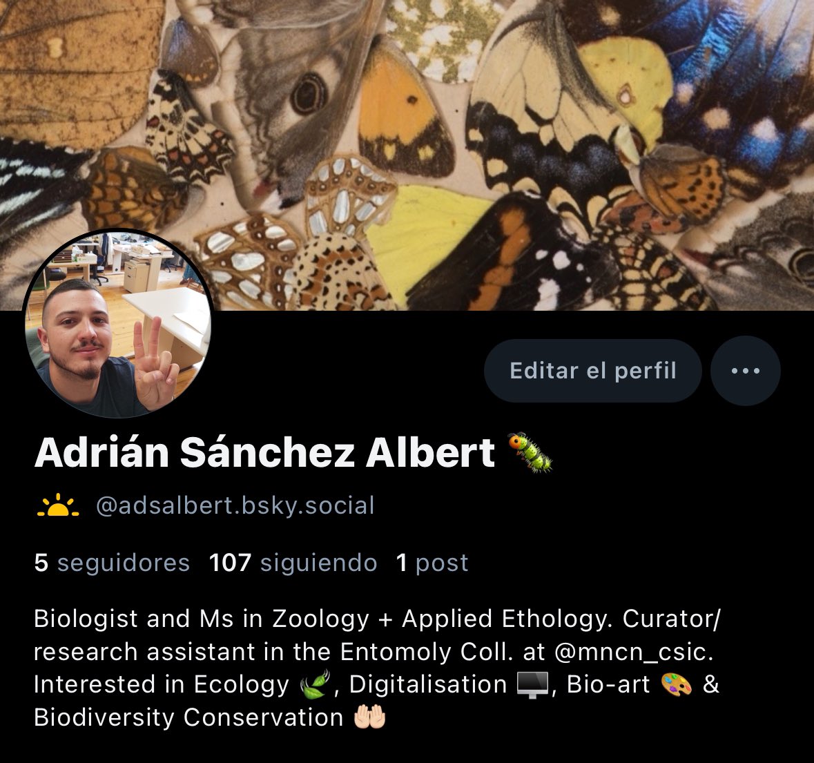 I wasn't going to tweet about this, but since I decided to take the step when another user posted his decision, I'm finally doing it.

I'm switching to <a href="/bluesky/">bluesky</a>! For two main reasons: the butterfly logo and the refreshing atmosphere.

➡️ adsalbert.bsky.social