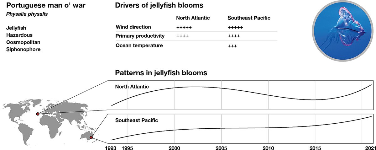 biodiversityDS. tweet media