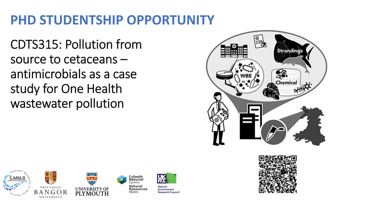 CDT SuMMeR (@cdt_summer) on Twitter photo 🌟ICYMI: The CDT SuMMeR has a funded PhD project open for applications, investigating how antibiotics in the marine environment affects marine mammals and the ecosystem. Supervised by <a href="/Ellie__Jameson/">Dr Ellie Jameson</a> <a href="/BangorUni/">Bangor University</a> & <a href="/mfitzsimons2/">Mark Fitzsimons</a> <a href="/PlymUni/">University of Plymouth</a> <a href="/RosieSWilliams1/">Rosie Williams</a> <a href="/OfficialZSL/">ZSL</a> 🧵... 🌟ICYMI: The CDT SuMMeR has a funded PhD project open for applications, investigating how antibiotics in the marine environment affects marine mammals and the ecosystem. Supervised by <a href="/Ellie__Jameson/">Dr Ellie Jameson</a> <a href="/BangorUni/">Bangor University</a> & <a href="/mfitzsimons2/">Mark Fitzsimons</a> <a href="/PlymUni/">University of Plymouth</a> <a href="/RosieSWilliams1/">Rosie Williams</a> <a href="/OfficialZSL/">ZSL</a> 🧵...