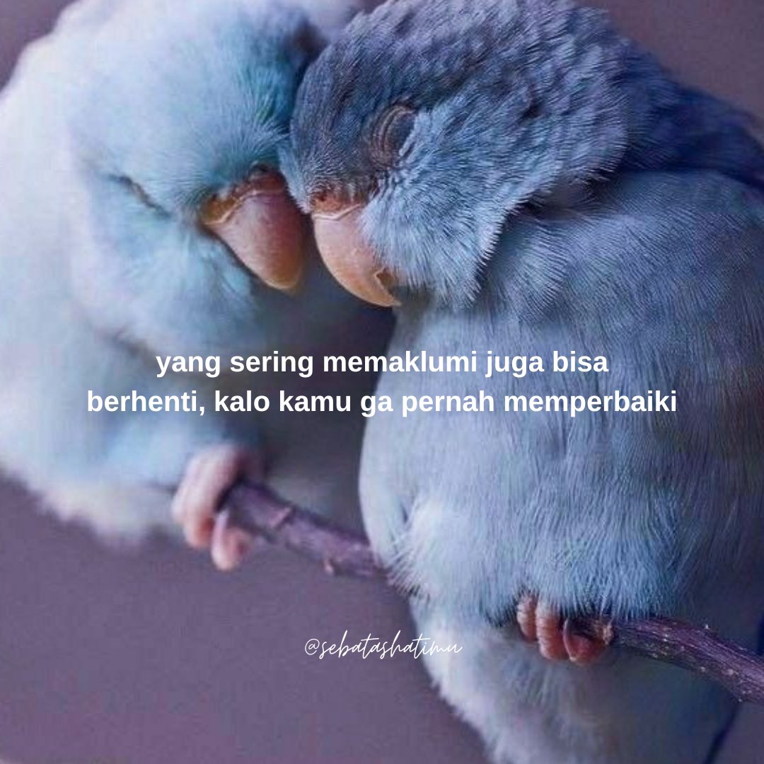 sebatashatimu's tweet image. yang dimaklumi harusnya memperbaiki ~