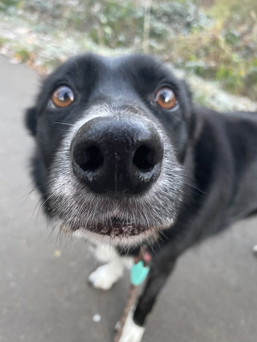 What Pippa Did Next tweet media