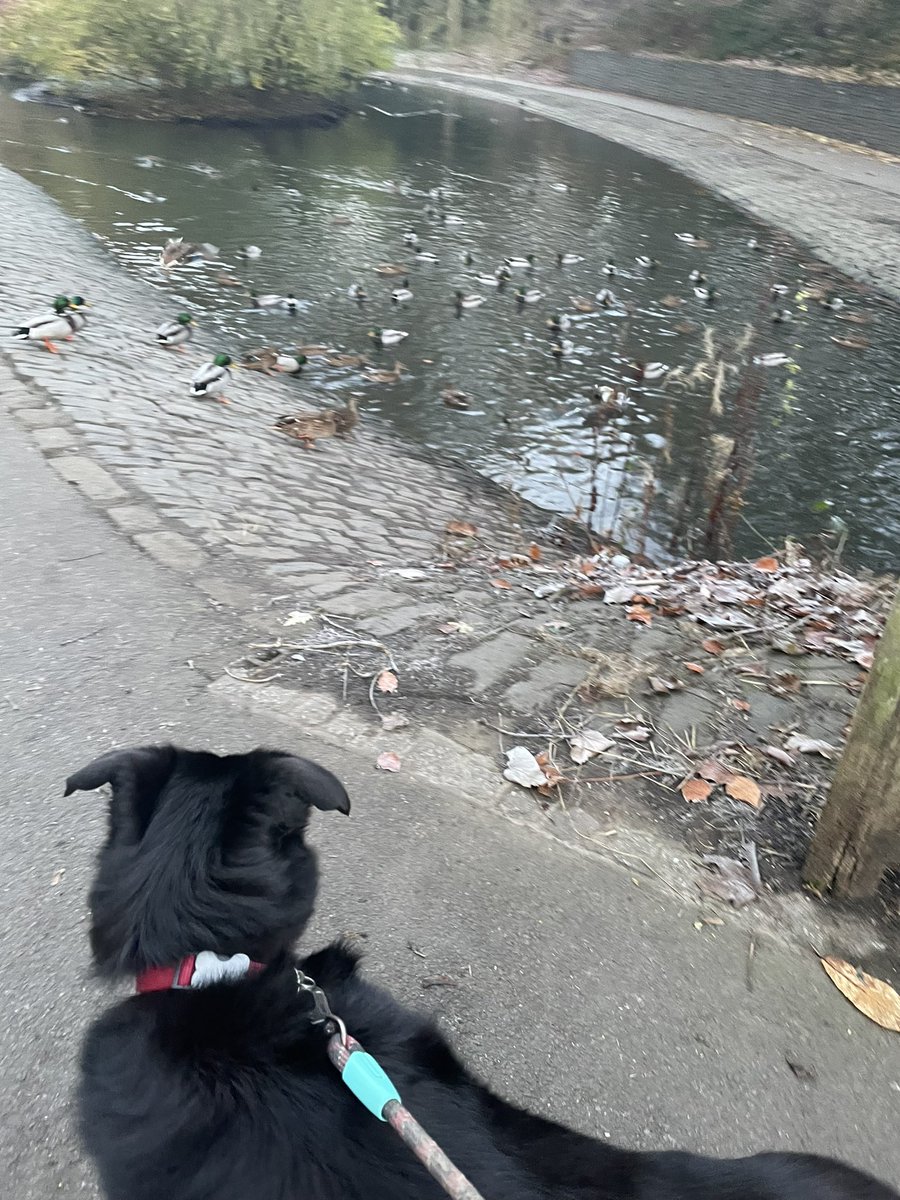 What Pippa Did Next tweet media