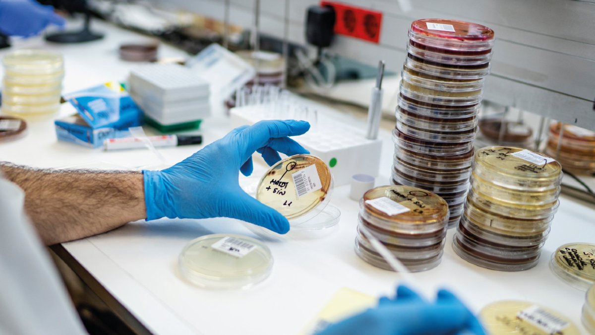 El Servei de Malalties Infeccioses de l’<a href="/hospitaldelmar/">Hospital del Mar</a> i el Laboratori de Referència de Catalunya, integrat a <a href="/DibiXarxa/">Dibi· Xarxa de diagnòstic biomèdic i per la imatge</a>, amb <a href="/CSC_Consorci/">CSC</a> s’han incorporat al projecte europeu <a href="/RaDARPPI/">RaDAR</a> d’innovació en detecció ràpida de resistències als #antibiòtics

🔗 tuit.cat/35evP