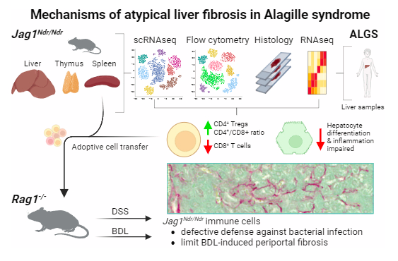 Faculty of Science of Charles University tweet media
