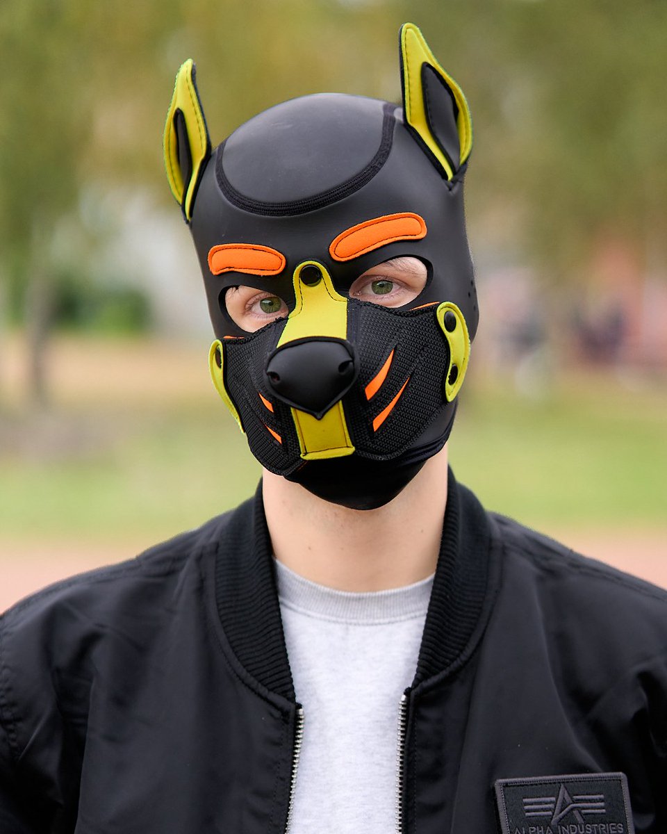 Pup Twizz tweet media