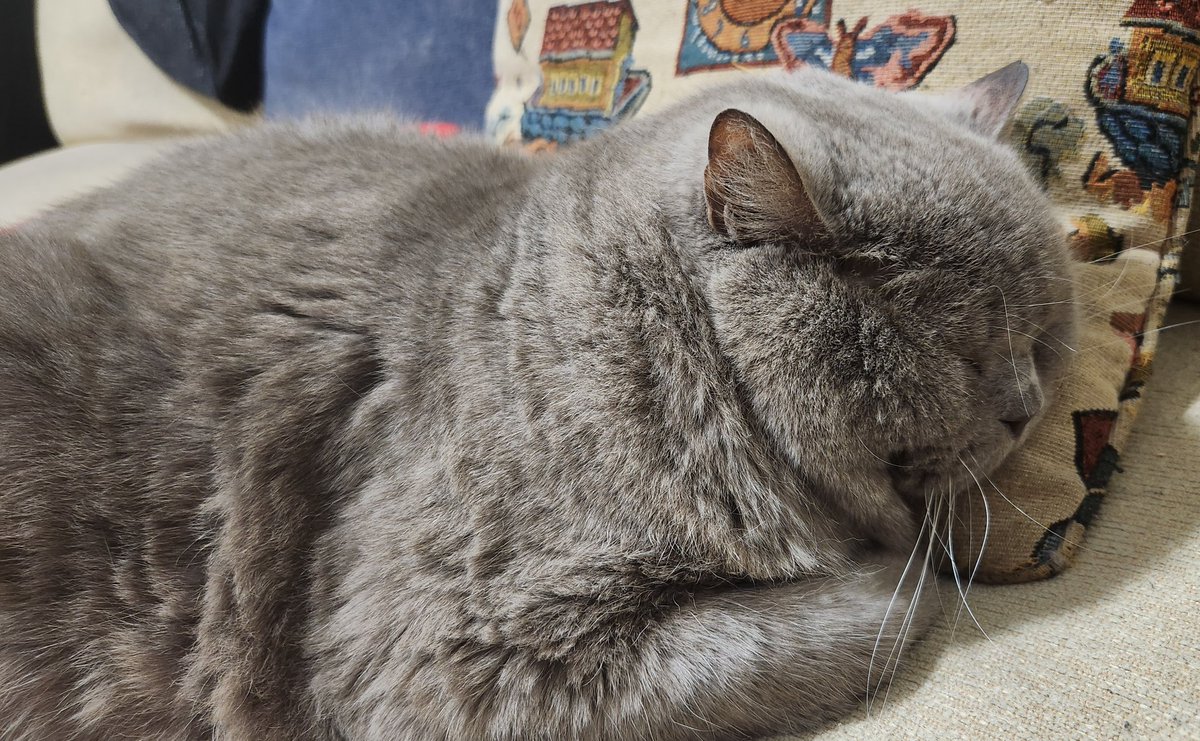 He sleeps the sleep of the just.
#Winston