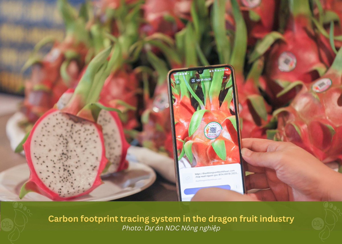 UNDP in Viet Nam tweet media