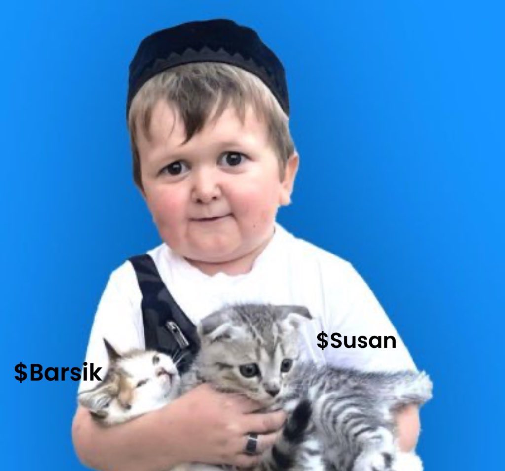 0xDooM_'s tweet image. $SUSAN is the ticker 

@hasbulla_main ‘s other cat 

Will follow $barsik 

$SOL 

dexscreener.com/solana/66ymgg8…