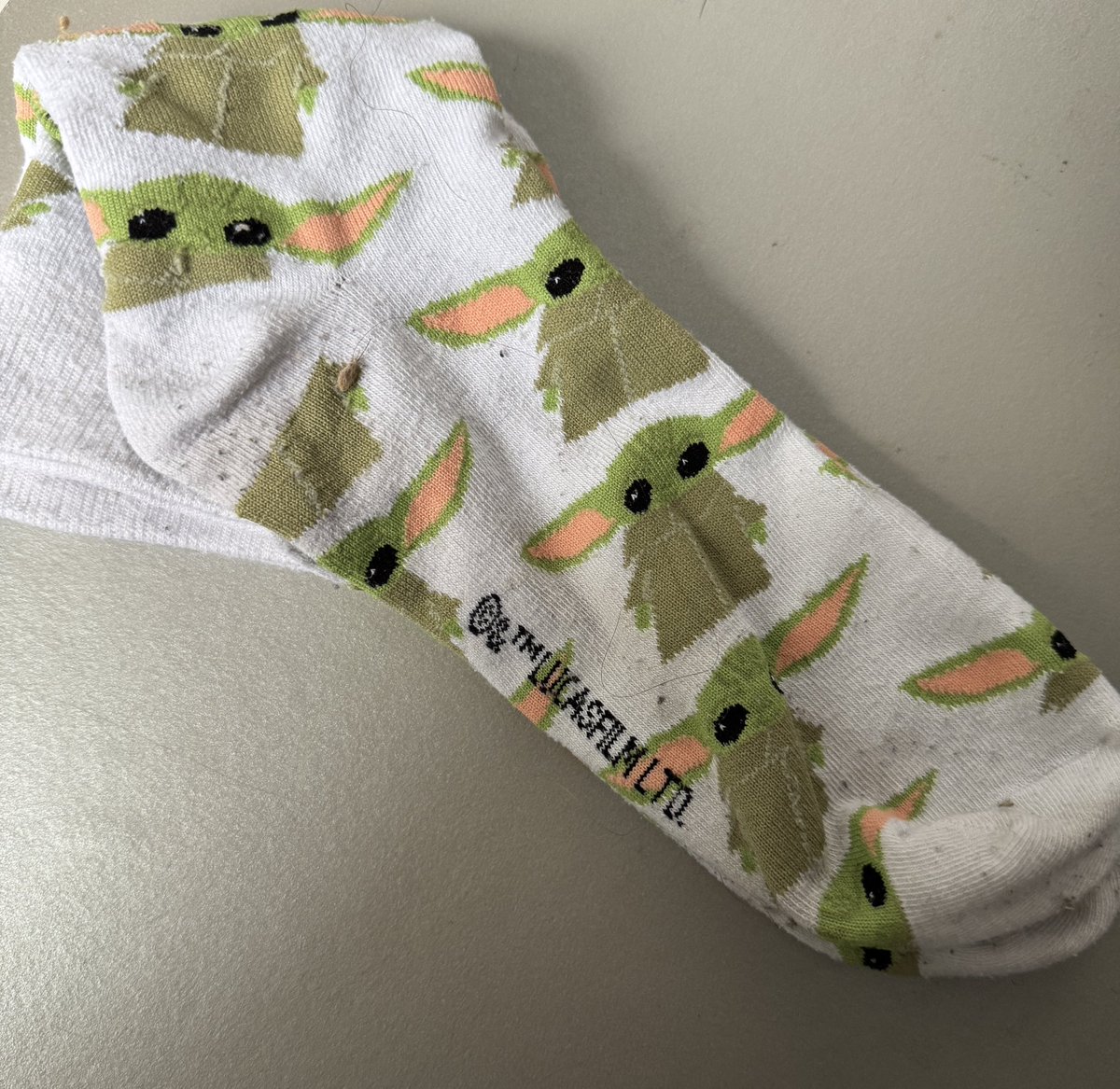 Pflanzifa tweet media