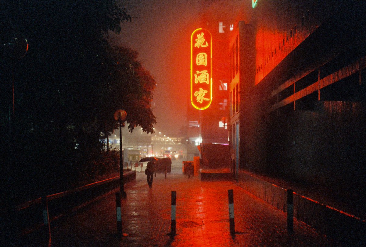 Fishmonkeycow tweet media