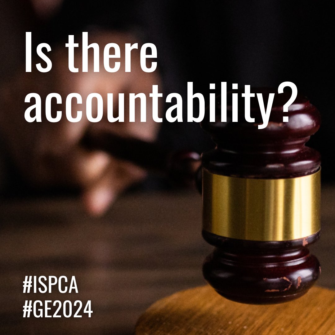 nspca_longford's tweet photo. Would you support a National Live Register for animal welfare offenders, stronger penalties and strict enforcement of animal welfare laws? โ๏ธ
Have your say here: https://t.co/aelCHk9YWR
#ISPCA #GE2024 https://t.co/ANGryDw6ig