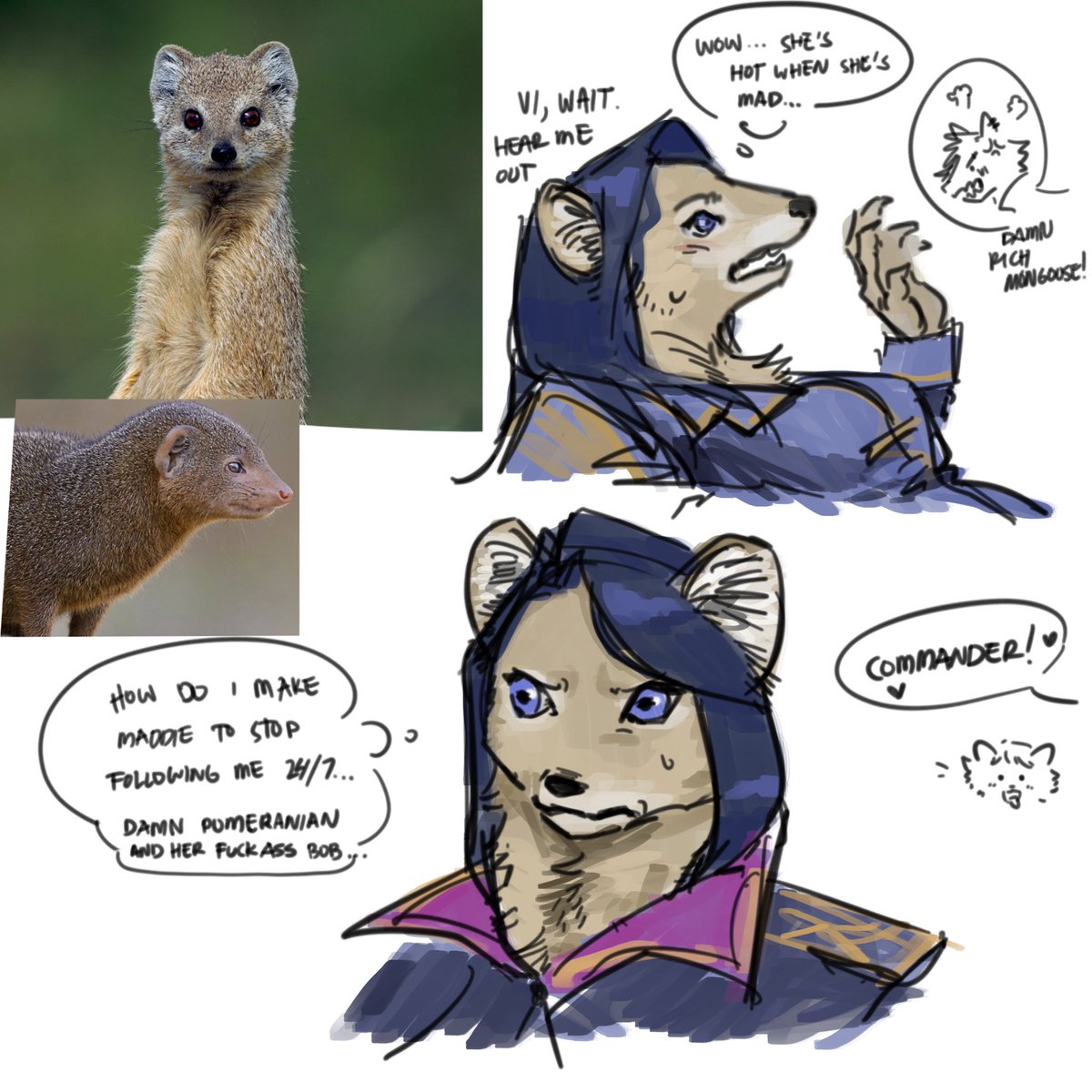 Smth smth mongoose 