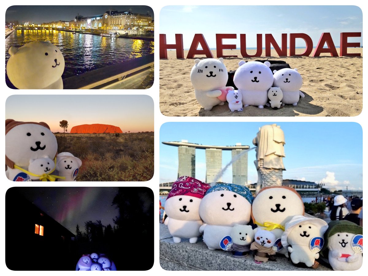 たびくま tweet media