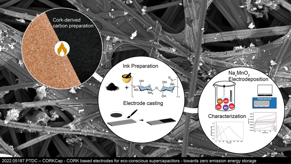 Corrosion Science and Surface Engineering tweet media