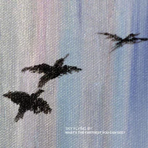 #NowPlaying Sky Flying By - What's The Farthest You Can See? ( #shoegaze #postrock #idm #ambient #vaporwave) skyflyingby.bandcamp.com / mnsfm.art.br
