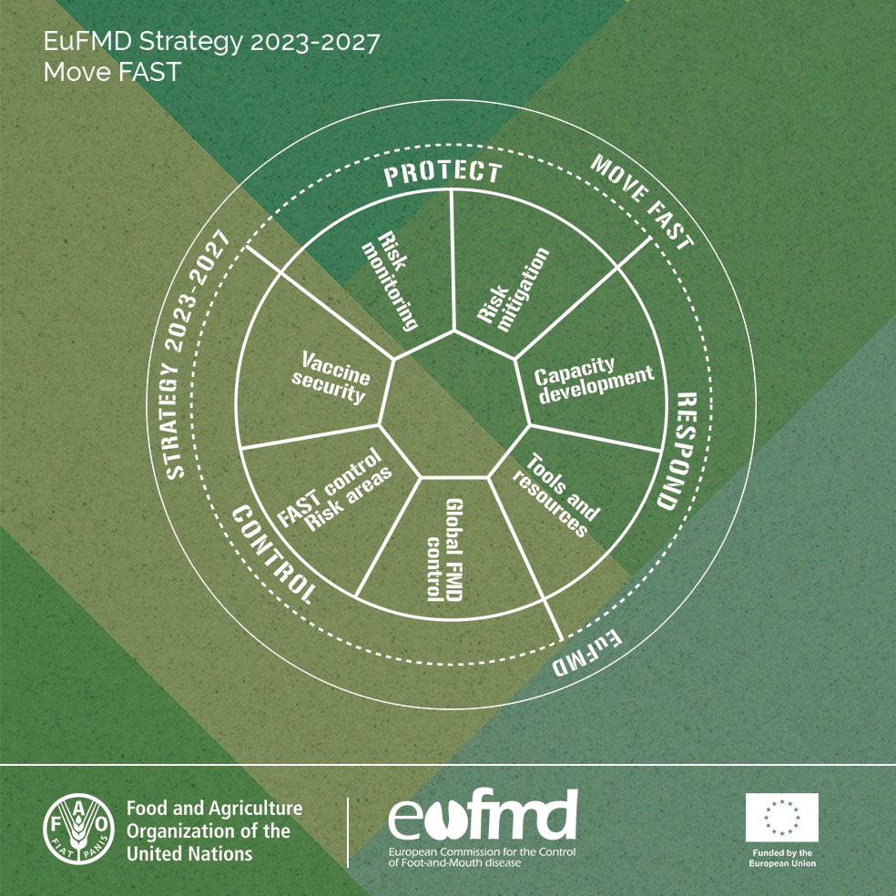 Eufmd's tweet image. 🌍🚀 Ensuring FAST control in risk areas is crucial. Introducing the sixth key area of the #EuFMD's #MoveFAST strategy: FAST Control. Let's support #CapacityDevelopment, prioritize resources, and contribute to safer trade. Together, we can reduce risks.
 
fao.org/3/cc9047en/cc9…