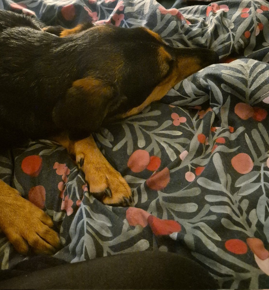 Kate ✨️ tweet media