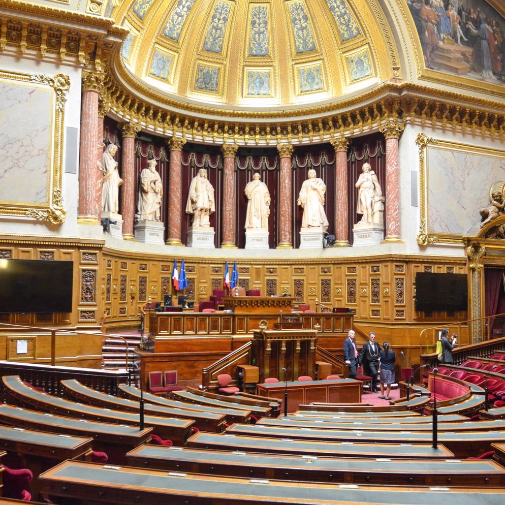 Pediavenir tweet media