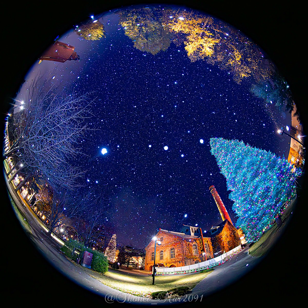 雪の降り始めが美しいサッポロビール園❄️

クリスマスイルミネーションが施された園内を円周魚眼でスノードームのように収めました🎄🔮✨