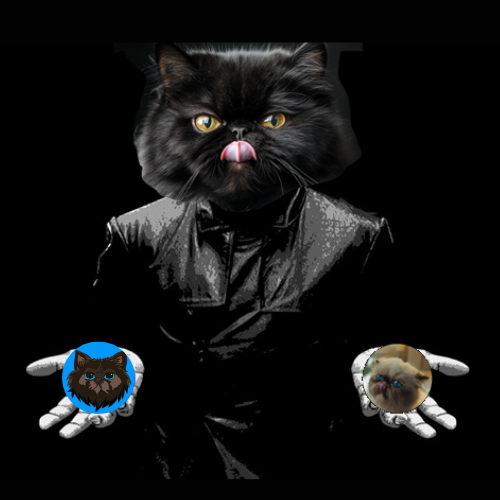 Niggles_CTO's tweet image. #NIGGLES or #MIGGLES ?