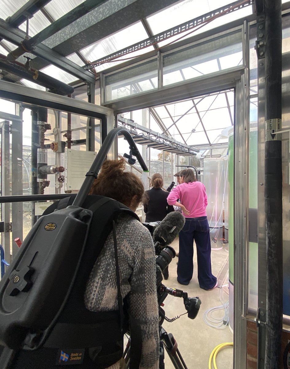 NouriSol tweet media