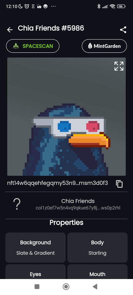 still having this #Chia Friends Guy. What do you think will happen to him in Year 2030 or 2040? 😅