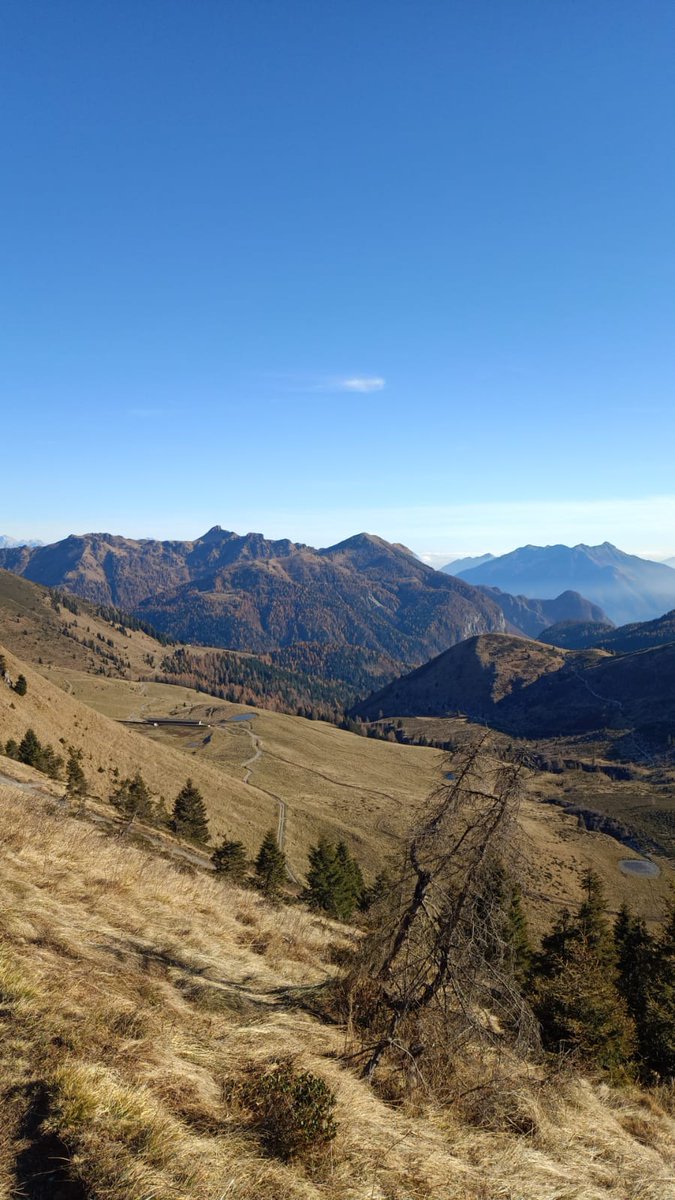 Sauris Zahre BEST TOURISM VILLAGE by UNWTO tweet media