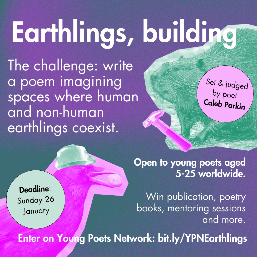 New ecopoetry challenge for young poets! 🏗️🦫

Send us poems that explore the habitats we share with non-human earthlings. 

Poet Caleb Parkin offers some prompts for imagining a world to share with birds, bugs, and bears…

Find prompts and enter: bit.ly/YPNEarthlings