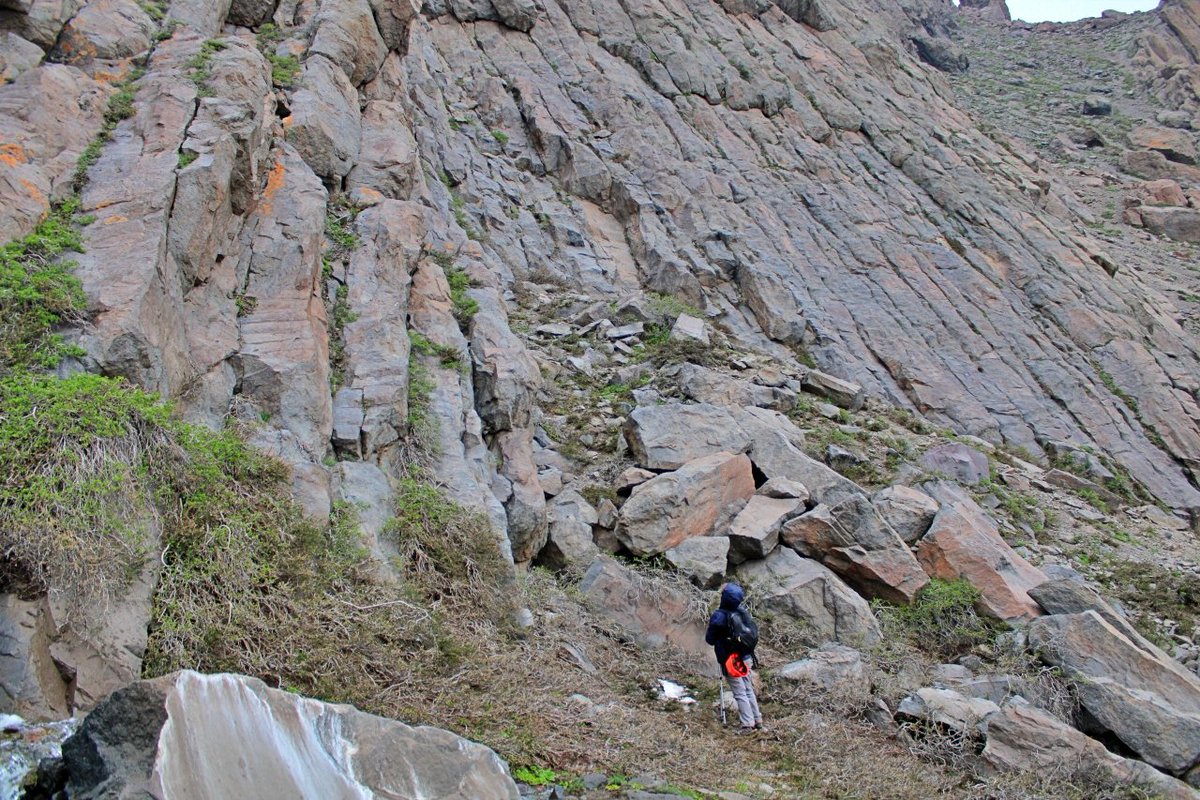 Jorge Eduardo Romero Moyano tweet media