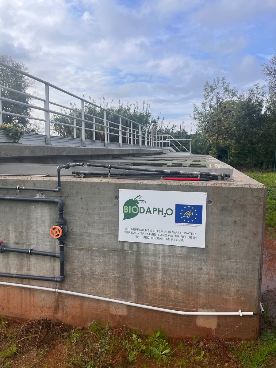 LIFE BIODAPH2O (@life_biodaph2o) on Twitter photo ๐ง On November 8th, students from the Master's in "Environmental Change and Sociological Transition" <a href="/univgirona/">Universitat de Girona</a> visited the BIODAPH pilot plant at Quart's WWTP (Girona, Catalonia) to explore the innovative BIODAPH technology โ๏ธ
#LIFEproject #LifeBIODAPH2O #daphnia ๐ง On November 8th, students from the Master's in "Environmental Change and Sociological Transition" <a href="/univgirona/">Universitat de Girona</a> visited the BIODAPH pilot plant at Quart's WWTP (Girona, Catalonia) to explore the innovative BIODAPH technology โ๏ธ
#LIFEproject #LifeBIODAPH2O #daphnia